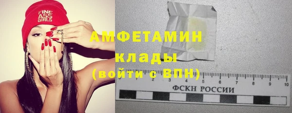 прущие грибы Михайловка