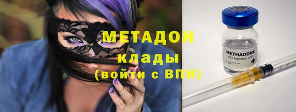 прущие грибы Михайловка