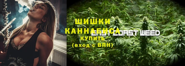 прущие грибы Михайловка