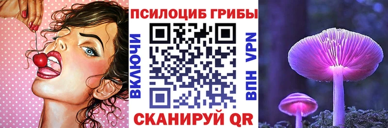 Псилоцибиновые грибы Magic Shrooms  цена   Находка 