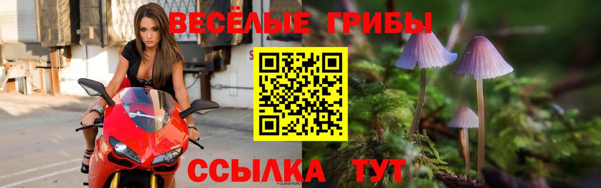 купить наркотик  Галлюциногенные грибы мухоморы  Вход с VPN  Находка  Псилоцибиновые грибы Cubensis 